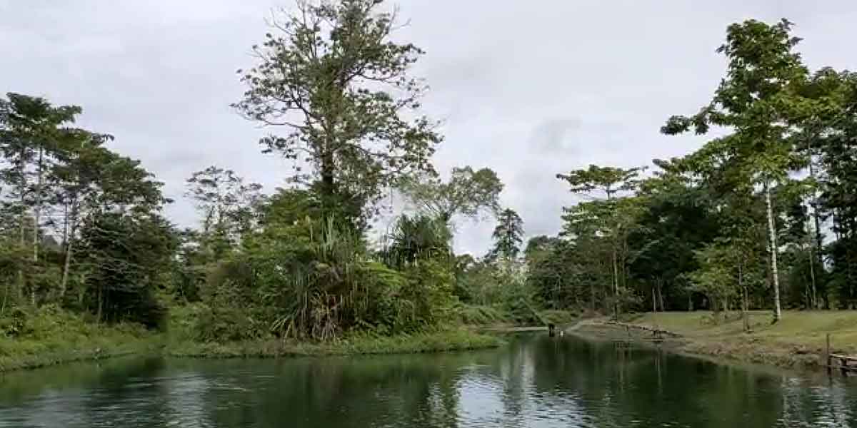 Kesejukan wisata alam Kali Baliem Waga-waga di Kompleks Inamco Kuala Kencana, Kabupaten Mimika. Foto: Salmawati Bakri/Papua60detik